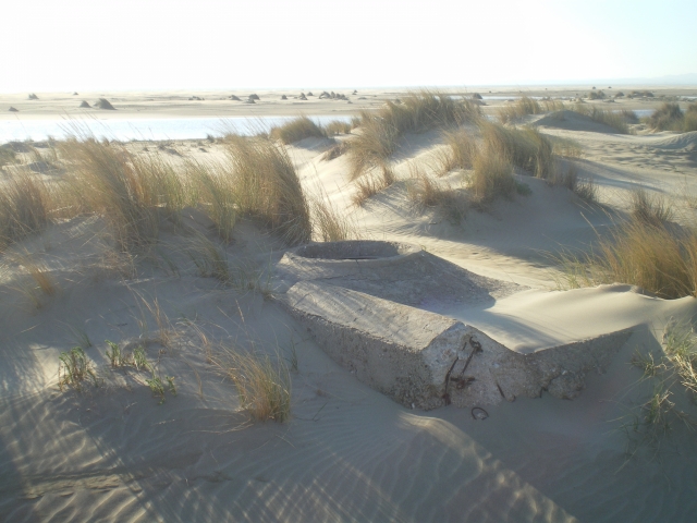 1./625, Espiguette (Grau du Roi (Camargue), 30) 16a2q1