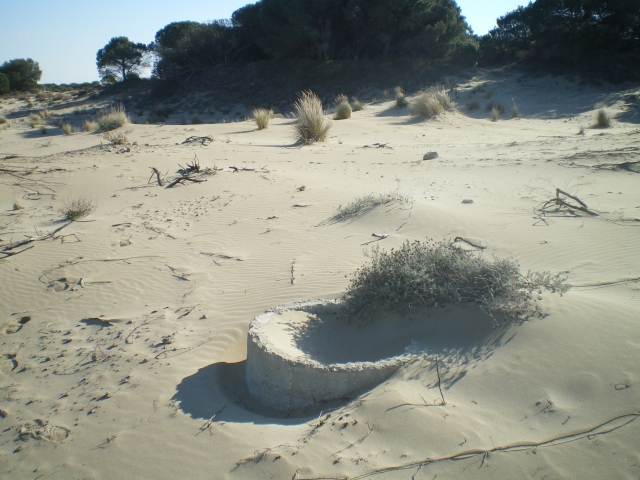 1./625, Espiguette (Grau du Roi (Camargue), 30) 2p8l6m