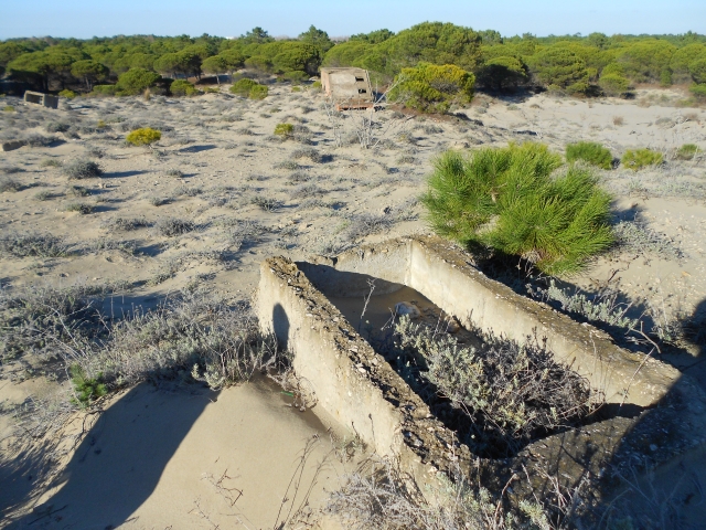1./625, Espiguette (Grau du Roi (Camargue), 30) 3d6f99