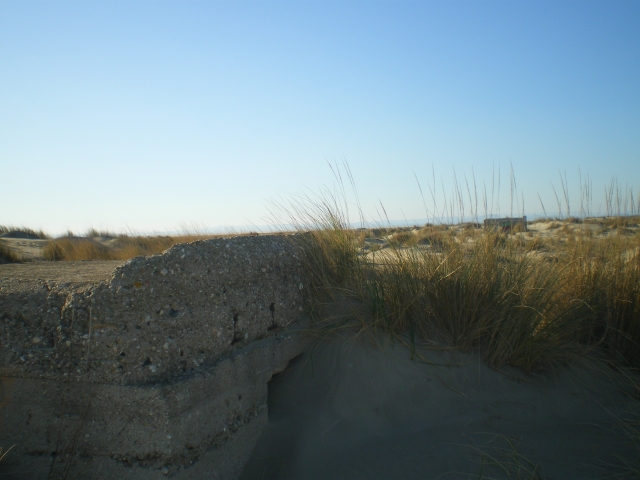 1./625, Espiguette (Grau du Roi (Camargue), 30) 4wci9c