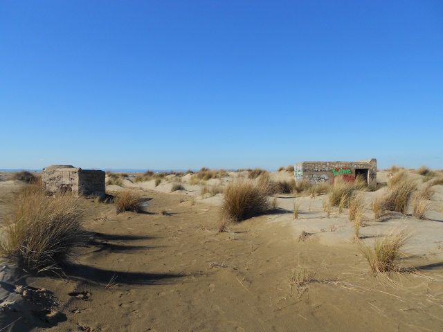 1./625, Espiguette (Grau du Roi (Camargue), 30) 8oivvd