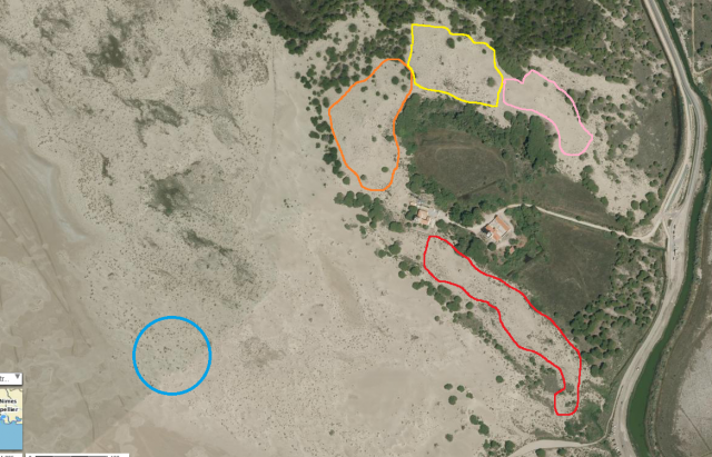 1./625, Espiguette (Grau du Roi (Camargue), 30) 97n88e