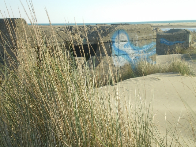 1./625, Espiguette (Grau du Roi (Camargue), 30) A6esd3