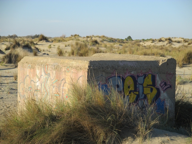 1./625, Espiguette (Grau du Roi (Camargue), 30) Eqdjhl