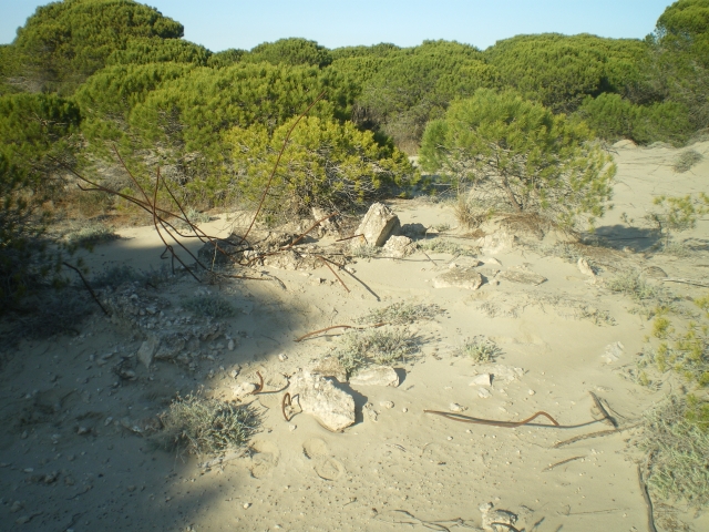 1./625, Espiguette (Grau du Roi (Camargue), 30) Gwul5i
