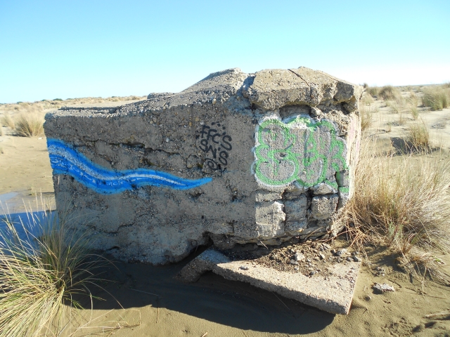 1./625, Espiguette (Grau du Roi (Camargue), 30) Hsrbdj
