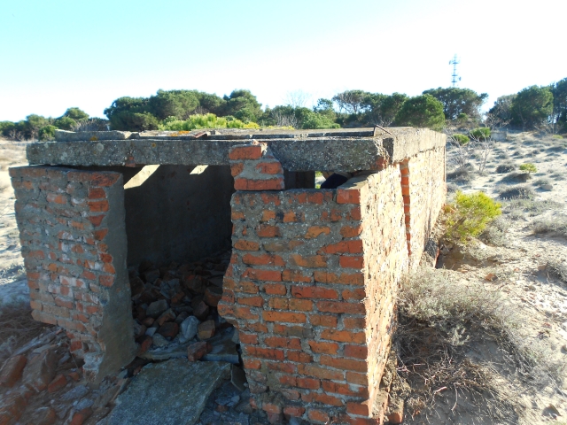 1./625, Espiguette (Grau du Roi (Camargue), 30) Kpn83z