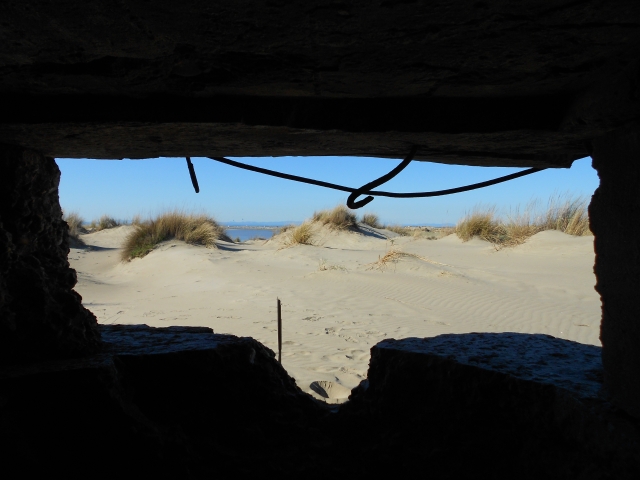 1./625, Espiguette (Grau du Roi (Camargue), 30) Qrmaw3