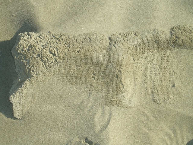 1./625, Espiguette (Grau du Roi (Camargue), 30) Zxkmlm