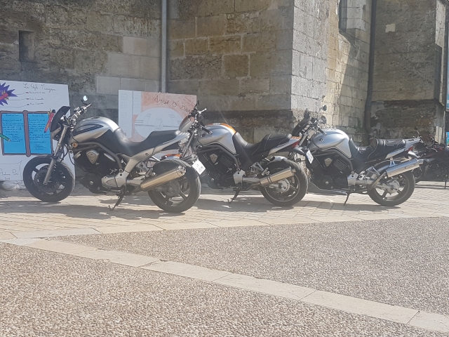 Sortie vers Tours, Amboise (juin 2019) Ioghvp